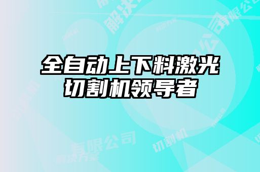 全自動上下料激光切割機領導者