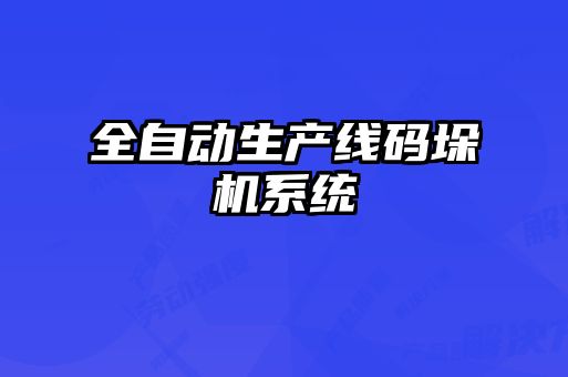 全自動生產(chǎn)線碼垛機(jī)系統(tǒng)