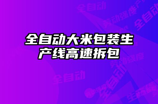 全自動大米包裝生產線高速拆包