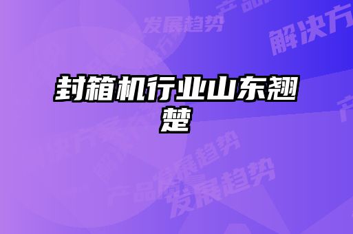 封箱機行業山東翹楚
