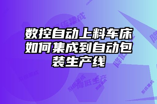 數控自動上料車床如何集成到自動包裝生產線
