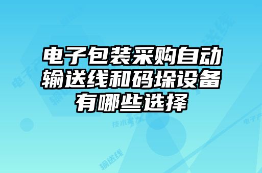 電子包裝采購(gòu)自動(dòng)輸送線(xiàn)和碼垛設(shè)備有哪些選擇