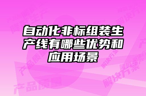 自動化非標組裝生產線有哪些優勢和應用場景