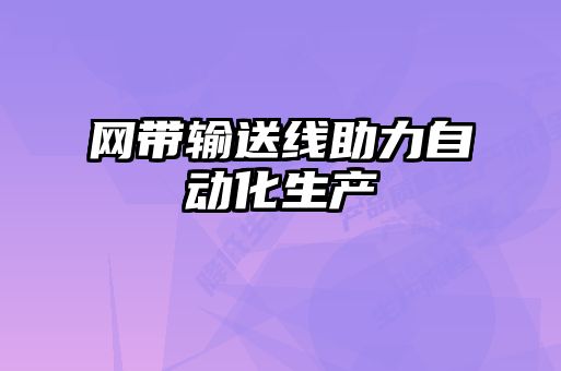網(wǎng)帶輸送線助力自動化生產
