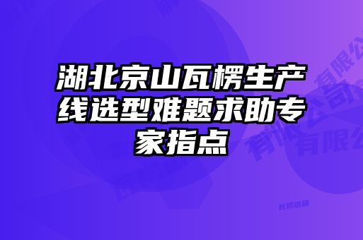 湖北京山瓦楞生產線選型難題求助專家指點