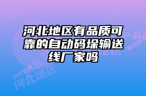 河北地區有品質可靠的自動碼垛輸送線廠家嗎