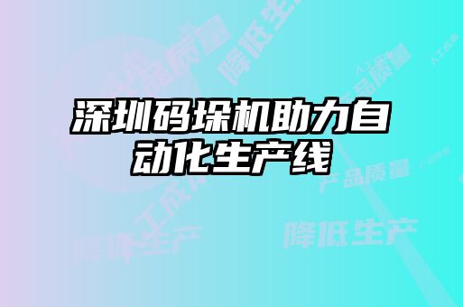深圳碼垛機助力自動化生產線