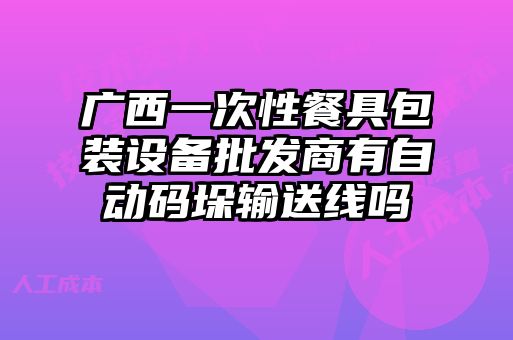 廣西一次性餐具包裝設備批發商有自動碼垛輸送線嗎