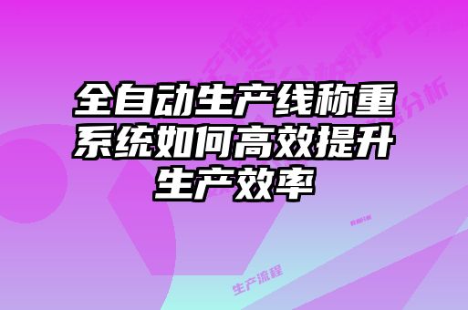 全自動生產線稱重系統如何高效提升生產效率