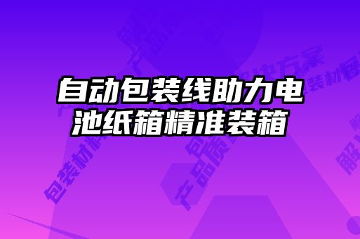 自動(dòng)包裝線(xiàn)助力電池紙箱精準(zhǔn)裝箱